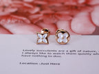 [Solara Jewelry ]スター＆サン ピンクゴールドMOPスタッドピアス